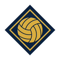 VolleyBridge